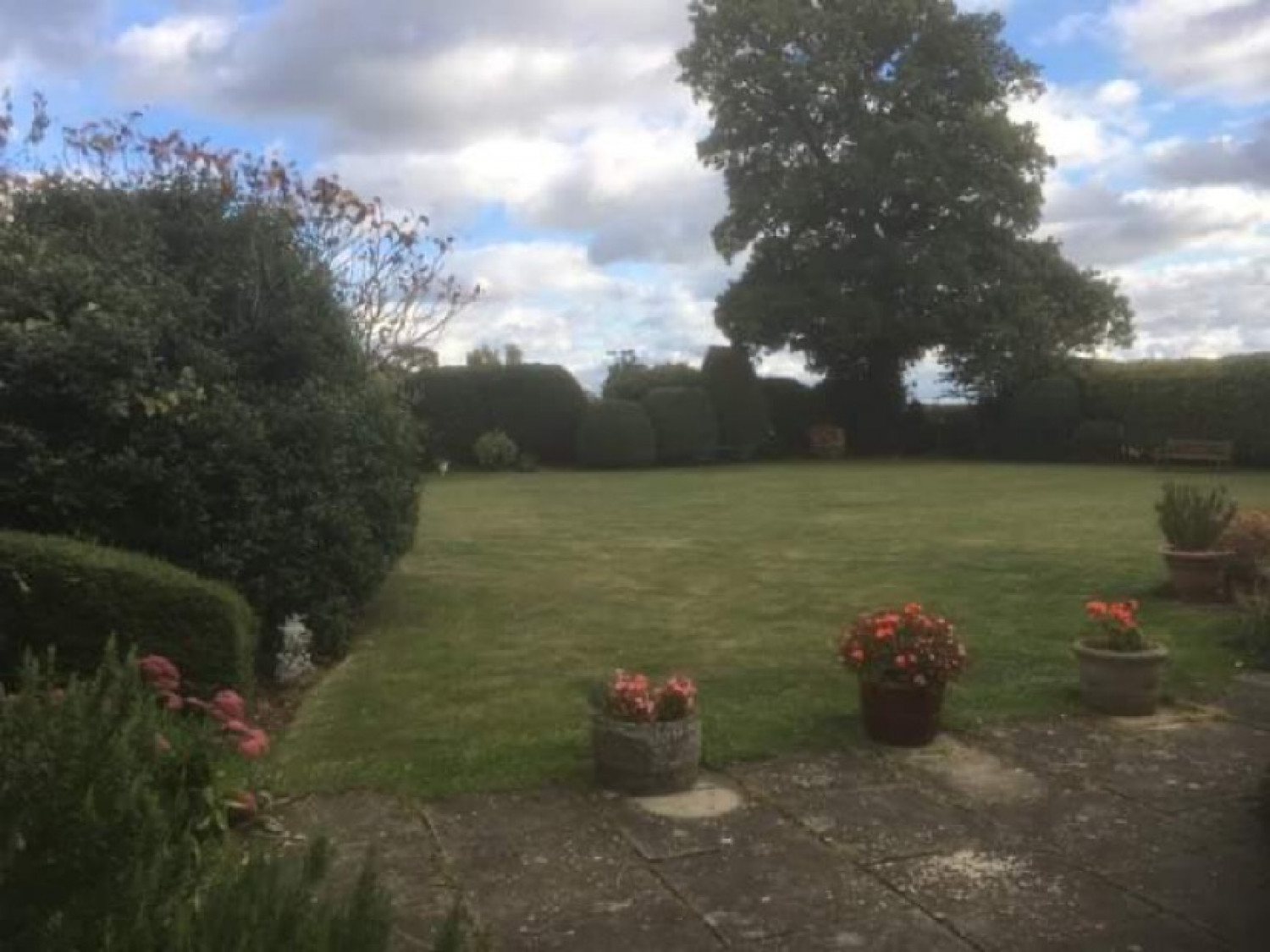 Tidy Garden  - Before & After Photos -  LONG'S LAWNS
