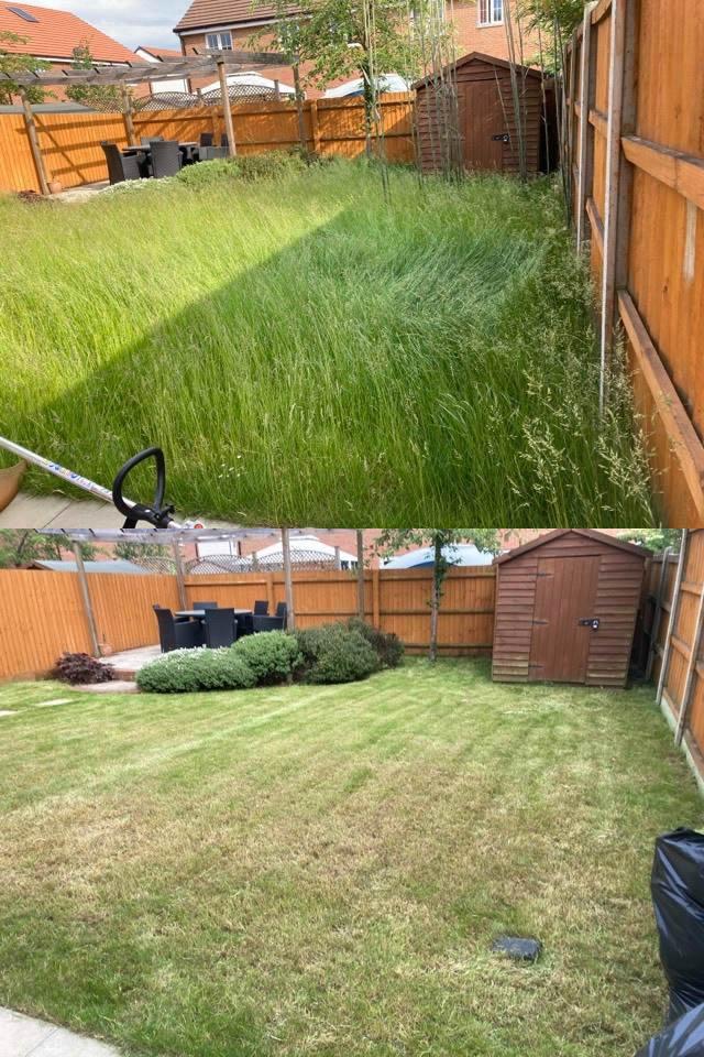 Overgrown lawn  - Before & After Photos -  LONG'S LAWNS