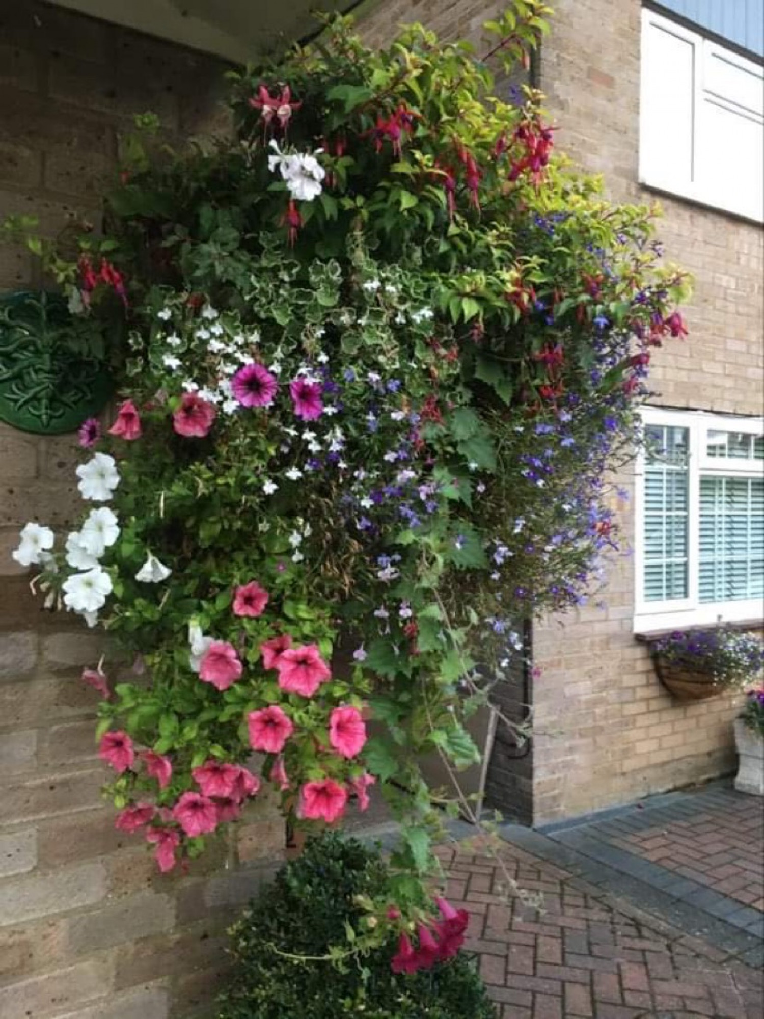 Hanging Baskets - LONG'S LAWNS -  GARDENERS IN BUNTINGFORD